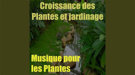  Musique pour les plantes - Un voyage sonore hypnotique dans les profondeurs de la nature